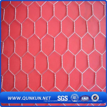 Chicken Wire Netting-Hexagonal Wire Mesh